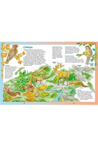 Барсотти Э. Атлас животных в картинках. Путешествие вокруг света