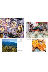 Мейл П. ?Год в Провансе? и другие книги