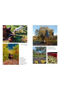 Мейл П. ?Год в Провансе? и другие книги