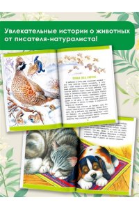 Пришвин М.М. Рассказы
