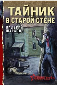 Шарапов В.Г. Тайник в старой стене (pocket)