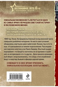 Шарапов В.Г. Тайник в старой стене (pocket)