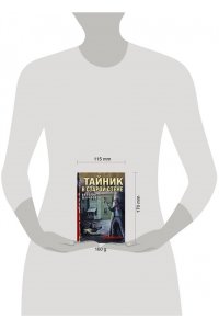 Шарапов В.Г. Тайник в старой стене (pocket)