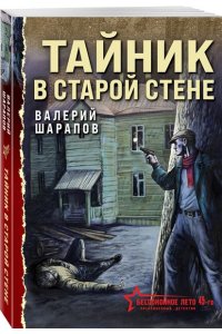 Шарапов В.Г. Тайник в старой стене (pocket)