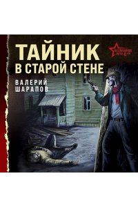 Шарапов В.Г. Тайник в старой стене (pocket)