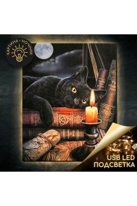 РОСПИСЬ ПО НОМЕРАМ 40*50 ЧАС МАГИИ USB LED ПОДСВЕТКА LHR0031 (1152)