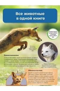 Лич М., Лланд М. Мир животных