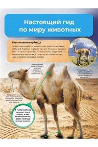 Лич М., Лланд М. Мир животных