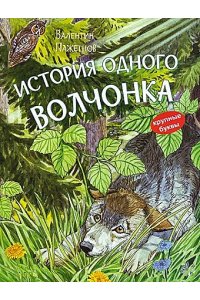 Пажетнов В.С. КК История одного волчонка. Рассказ