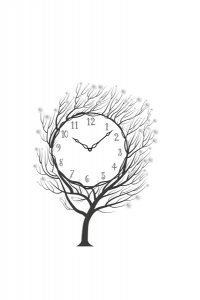 Силви К. Любовь и прочие парадоксы