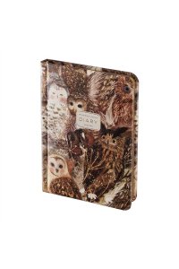 ЕЖЕДНЕВНИК 120Л А6+ BRUNO VISCONTI КОЖЗАМ FAUNA.ВОЛШЕБНЫЕ СОВЫ 3-745/12 (6029)