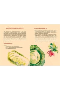 Бан М. Ч. Ссукгат: Корейские секреты благополучия и осознанной жизни