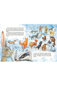 Чехов А.П, Усы, перья и хвосты. Рассказы русских писателей о животных (ил. М. Белоусовой)