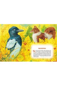 Чехов А.П, Усы, перья и хвосты. Рассказы русских писателей о животных (ил. М. Белоусовой)