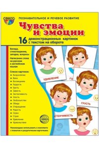 Цветкова Т.В. Дем. картинки СУПЕР Чувства и эмоции В ПАПКЕ. 16 демонстрационных картинок с текстом (173х220 мм)