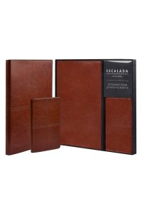 ЕЖЕДНЕВНИК 120Л А5 + ОБЛОЖКА Д/ПАСПОРТА (НАБОР ПОДАРОЧНЫЙ) ФЕНИКС+ 67168