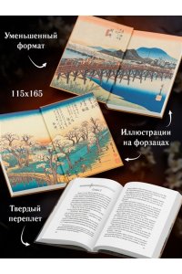 Спэнн С. Удар кошачьей лапой