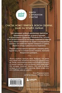 Сантаити Федерико Кот с семью именами. Счастье приходит к тому, кто верит в чудеса