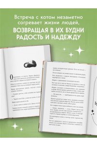 Сантаити Федерико Кот с семью именами. Счастье приходит к тому, кто верит в чудеса