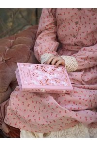 Остен Дж. Гордость и предубеждение (подарочное издание)