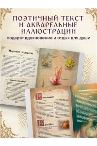 Мотте М. Травология Средневековья. Чудодейственные растения, древние рецепты и непостижимые тайны трав