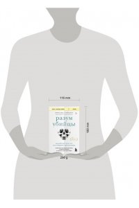Тейлор Р. Разум убийцы. Как работает мозг тех, кто совершает преступления