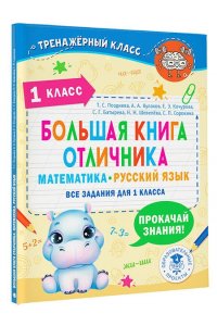 Позднева Т.С., Кулаков А.А., Кочурова Е.Э. Большая книга отличника. Математика. Русский язык. Все задания для 1 класса