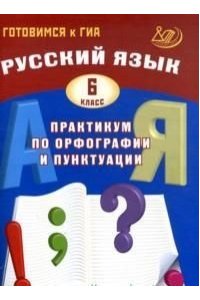Русский язык 6 класс. Практикум по орфографии и пунктуации