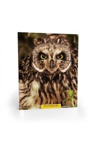 ЗАПИСН КН 96Л А6 МАТОВ ЛАМИН НА РЕЗИНКЕ ФИЛИН 11361-EAC (8981)