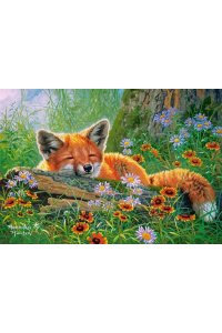 ПАЗЛЫ 500 CASTORLAND ЛИСЬИ МЕЧТЫАРТ. B-53872 (3872)