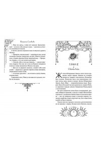 Соловьева Е. Князь Штормовых Земель