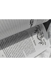 Арден Л. , Фадеева О. , Благов В. Морана и Тень. Плетущая (Смерть и Тень #4)
