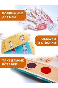 Сушкова М.В. Все секреты человека