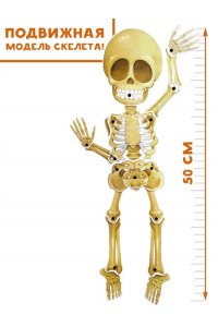 Сушкова М.В. Все секреты человека