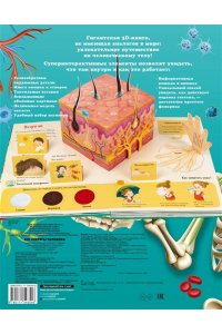 Сушкова М.В. Все секреты человека