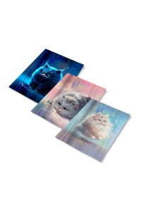 ОБЛОЖКА Д/ТЕТР 346*215 КОМПЛ 3ШТ С ГОЛОГРАФИЧ РИСУНКОМ ПУХЛЫЕ КОТЫ ФЕНИКС+ 66042