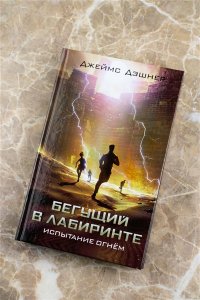 Дэшнер Д. Испытание огнем