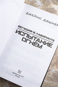 Дэшнер Д. Испытание огнем