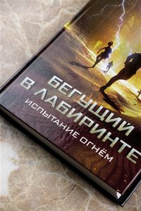 Дэшнер Д. Испытание огнем