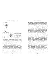 Уэйланд Барбер Э. Связанные одной нитью: Женщины, ткань и общество в Древнем мире. Первые 20 000 лет
