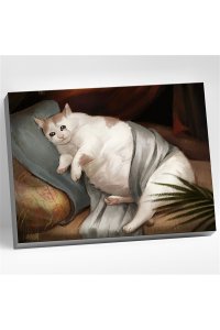 РОСПИСЬ ПО НОМЕРАМ 40*50 ТОЛСТЫЙ КОТИК HR0166 (5759)