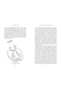 Вулф М.М. Бесконечная история чтения. Пруст, кальмар и наука о читающем мозге