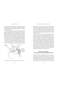 Вулф М.М. Бесконечная история чтения. Пруст, кальмар и наука о читающем мозге