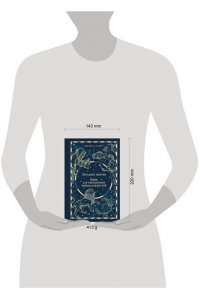 Павич М. Звездная мантия. Ящик для письменных принадлежностей (подарочное издание)