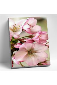 АЛМАЗНАЯ МОЗАИКА 40*50СМ С ПОДРАМ ЦВЕТЫ ЯБЛОНИАРТ.KM1047