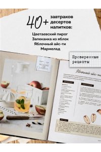 Анастасия Зурабова Больше чем шарлотка. Рецепты завтраков, выпечки, десертов, напитков и заготовок из яблок