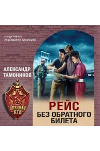 Тамоников А.А. Рейс без обратного билета