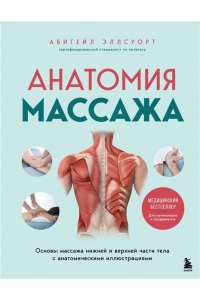 Эллсуорт А. Анатомия массажа. Основы массажа нижней и верхней части тела с анатомическими иллюстрациями