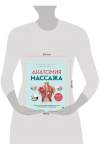 Эллсуорт А. Анатомия массажа. Основы массажа нижней и верхней части тела с анатомическими иллюстрациями