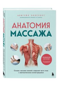 Эллсуорт А. Анатомия массажа. Основы массажа нижней и верхней части тела с анатомическими иллюстрациями